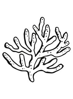 a black and white drawing of a coral