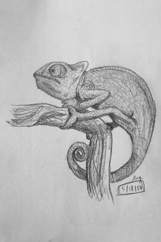 a drawing of a chamelon sitting on a branch with its tail curled up