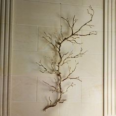 there is a tree branch on the wall in front of a white tile background,