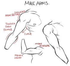 an image of male arms and shoulders with the names in red ink on white paper