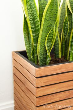 a wooden planter filled with lots of green plants