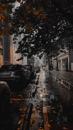 cars parked on the side of a wet street next to tall buildings and trees with yellow leaves