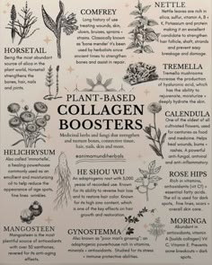 Medical Herbs Natural Treatments, Plant Based Collagen, Ruled By Saturn, Rose Body Oil, Medicinal Herbs Garden, Collagen Booster