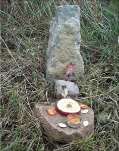 an apple sitting on top of a rock in the grass next to a stone statue