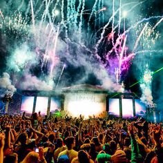 a large group of people at a concert watching fireworks