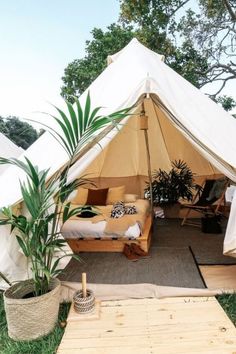 a tent is set up in the middle of a field with plants and furniture inside