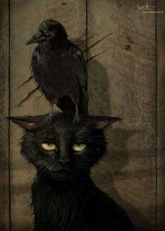 a black cat with yellow eyes and a bird sitting on top of it