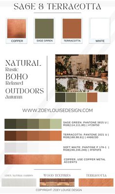 the color scheme for sage and terracotta is shown in different shades, including brown,