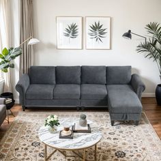 a living room with two couches and a coffee table