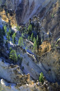 an aerial view of the mountains and trees in the wilderness, with snow on them