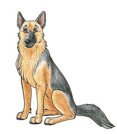 a drawing of a german shepherd sitting down