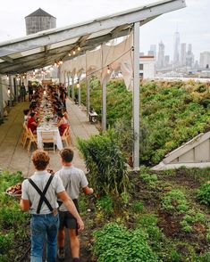 two men are walking down the path to an outdoor dining area with lots of plants