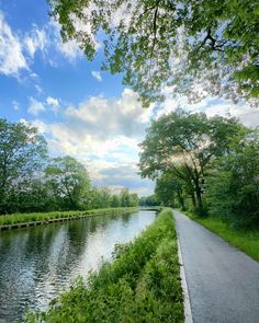 a river running through a lush green forest next to a park filled with lots of trees