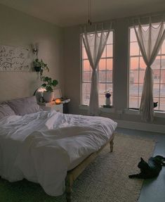 a cat laying on the floor next to a bed in a room with two windows