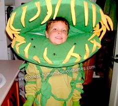 a young boy in a green and yellow costume