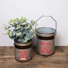 two metal buckets with plants in them sitting on a wooden table next to each other