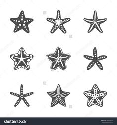 starfishs and sea stars in black and white stock photo - image 34978