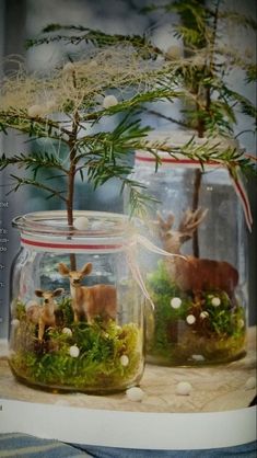 two glass jars filled with moss and deer figurines