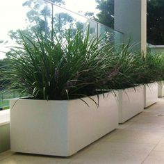 two planters with plants in them on the side of a building