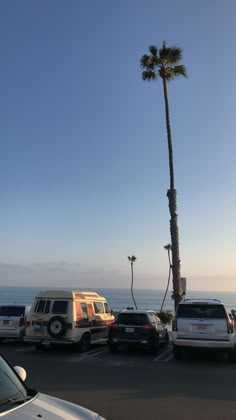 several cars parked in a parking lot next to the ocean with palm trees on either side