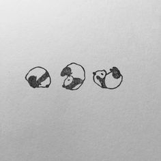 three small animals are drawn in black ink