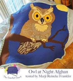 an owl is sitting on a tree branch in front of a window with the words owl at night afghan written below it