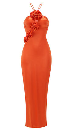 Halter Floral Maxi Dress Orange -

Color: Orange
Halterneck
Sleeveless
Floral detail
Spaghetti straps
Length: Maxi

Style: summer dress, summer outfit, party dress, evening gowns, girly summer outfits, chic dress to impress, dress to impress, summer date outfit, 4th of july outfits, july 4th outfits, summer night outfit, summer business casual outfits, orange dresses, maxi dresses, halter dresses, sequin dresses, floral dresses Orange Halter Dress, 3d Flower Dress, 4th Outfits, Halter Dresses, Flower Maxi Dress, July Outfits, Orange Dresses, Burnt Orange Dress, Dresses Sequin