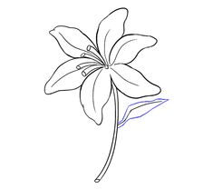 a drawing of a flower on a white background