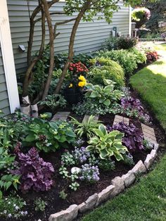 a garden with various plants and flowers in the front yard, next to a house