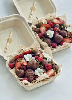 strawberries and chocolate covered strawberries in paper containers