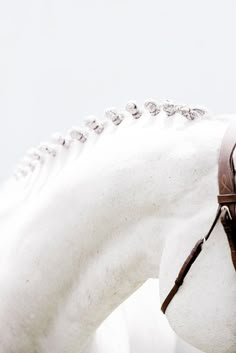 a white horse wearing a bridle and harness on it's back end