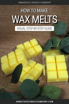 wax melts with leaves surrounding them and the text how to make wax melts visual step - by - step guide