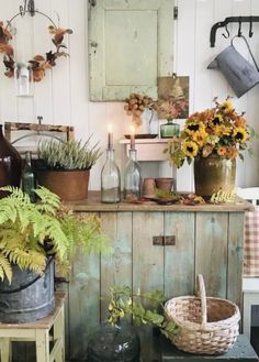 a room filled with lots of potted plants