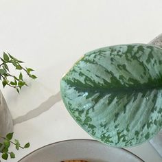 a bowl of food with some green leaves on it and a potted plant in the background