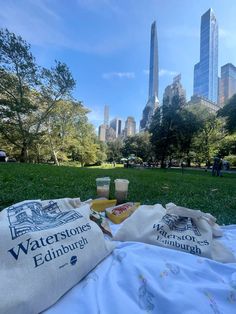 two bags sitting on top of a blanket in the grass next to a bag filled with drinks