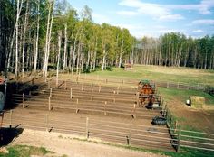 horses are standing in the middle of a fenced area