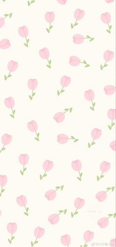 pink flowers with green leaves on a white background