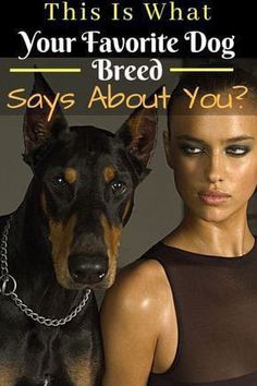 a woman standing next to a dog with the caption, this is what your favorite dog breed says about you?