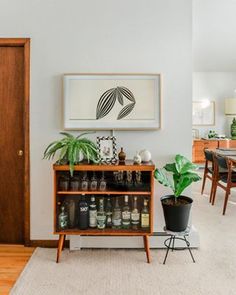 a living room with a plant on top of a shelf next to a potted plant