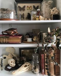 the shelves are filled with books, skulls and other items for halloween decor on display