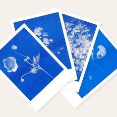 four blue and white cards with flowers on them