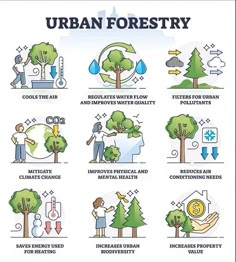 an image of the urban forestry scheme with trees, water and other things in it