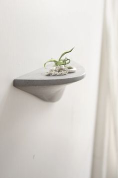 a plant is growing out of the corner of a wall hanging on a white wall