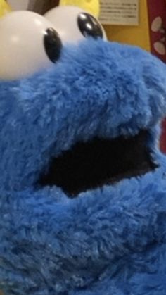 a blue stuffed animal sitting on top of a table