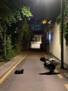 a black cat laying on the side of a road next to a person kneeling down