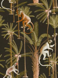 an image of monkeys and other animals in the jungle