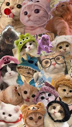 a collage of cats wearing hats and scarves with captioning that reads,