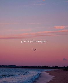 a bird flying over the ocean at sunset with a quote above it that reads, grow at your own pace