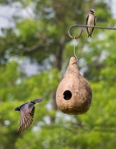 two birds are flying near a birdhouse hanging from a wire and another bird is in the air