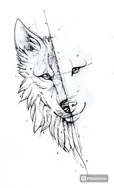 a black and white drawing of a wolf's face with an arrow in its mouth